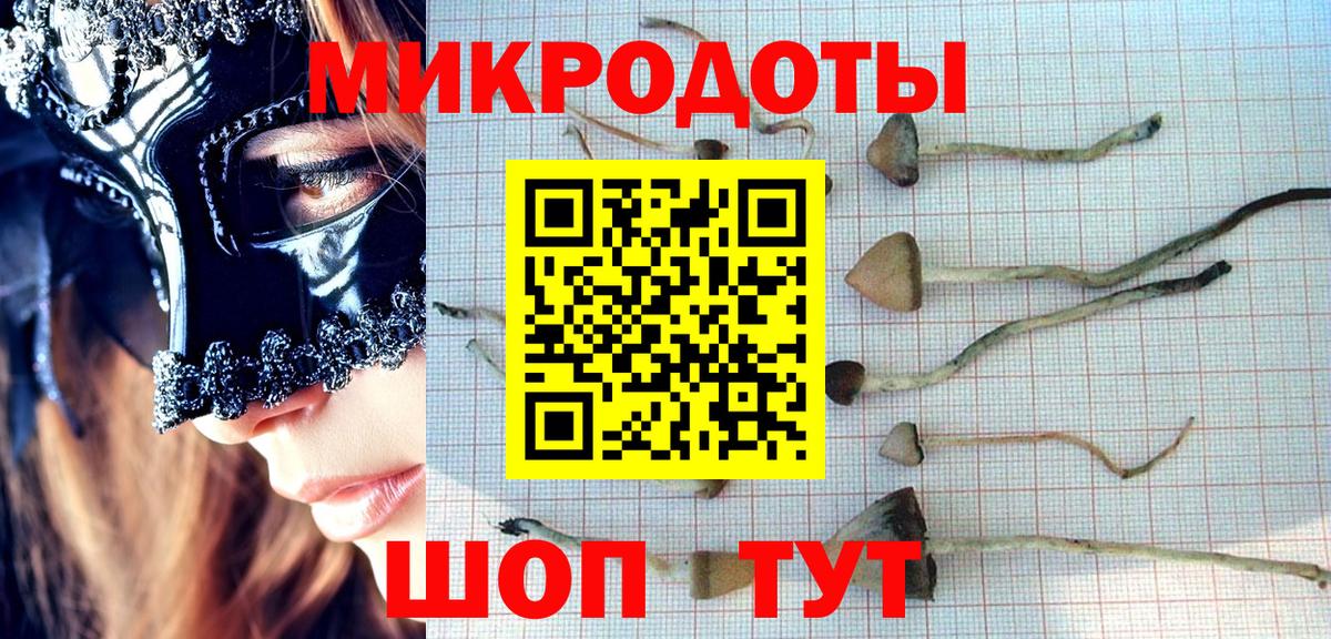 Красногорск  Галлюциногенные грибы GOLDEN TEACHER  Вход с VPN 